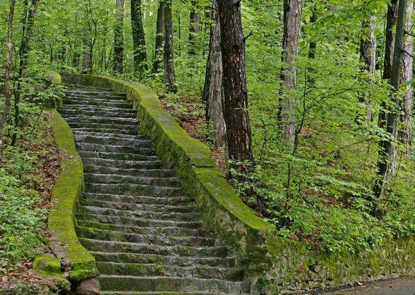 Градски парк Вършец